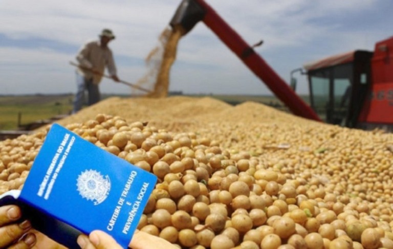 Agronegócio gerou mais de 28 milhões de empregos em 2023, segundo pesquisa Cepea/CNA