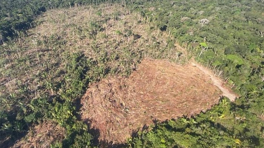 Governo vai oferecer crédito para produtos que preservam meio ambiente