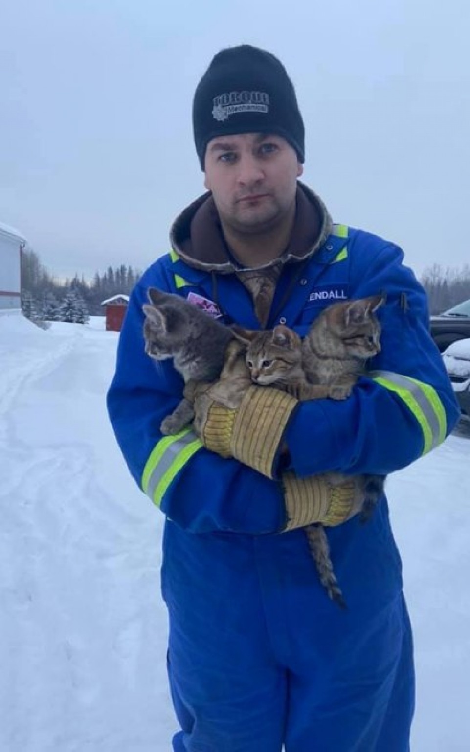 Homem usa café quente para salvar gatinhos congelados e presos no gelo Homem usa café quente para salvar gatinhos congelados e presos no gelo
