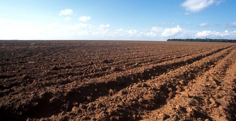 Tocantins também amplia prazo de plantio da soja