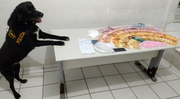 PM apreende drogas com apoio de cadela em conjunto residencial de Marília
