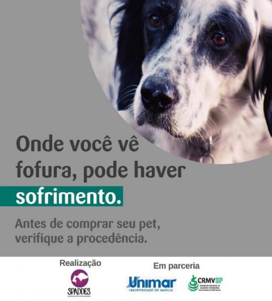 Venda ilegal de filhotes provoca campanha com ONG, Unimar e Conselho em Marília Venda ilegal de filhotes provoca campanha com ONG, Unimar e Conselho em Marília