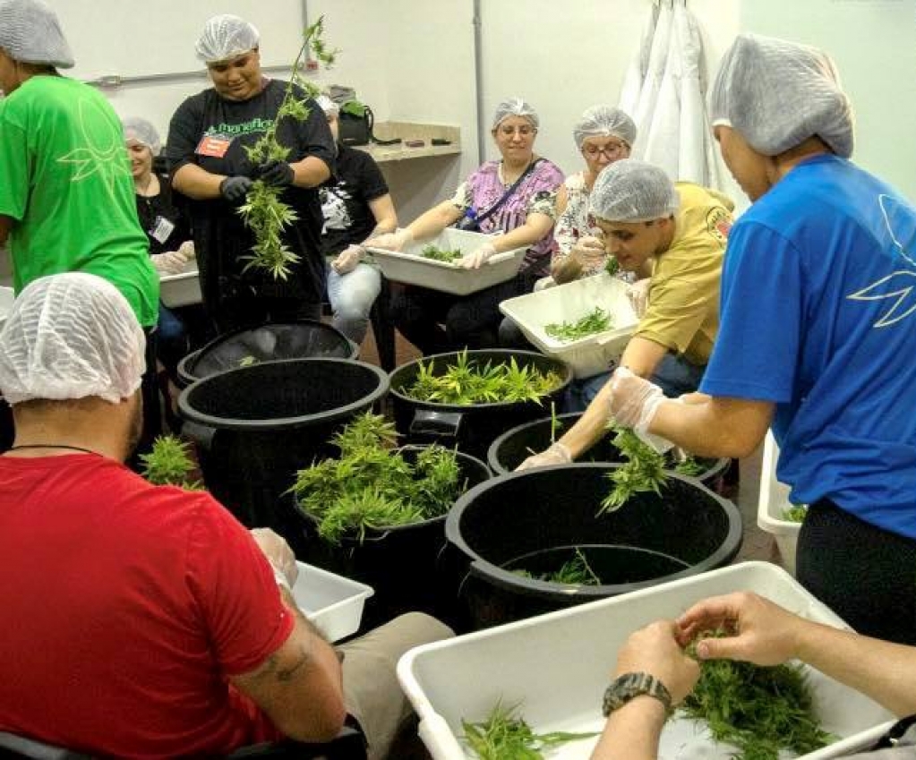 Atividade de voluntários na assocviação Maria Flor em Marília – Divulgação