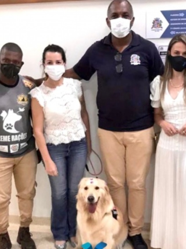 Lins aprova cãoterapia em hospitais após sucesso de ações em Marília