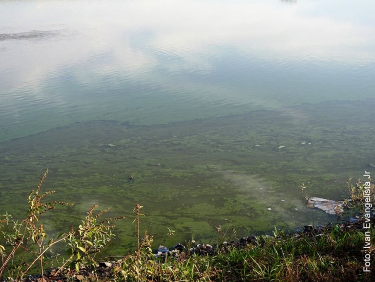 Excesso de algas deixa água verde na represa Cascata – Ivan evangelista Jr
