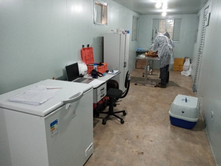 Castração de animais à beira de rodovia faz 79 procedimentos em Marília