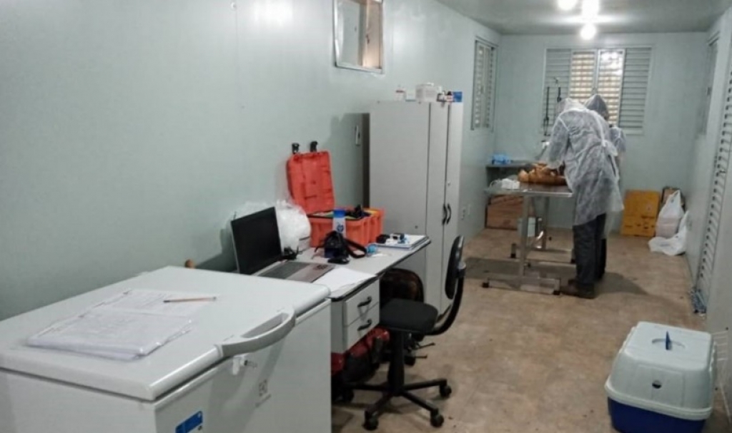 Projeto faz castração gratuita de animais ao lado de rodovia em Marília e região Projeto faz castração gratuita de animais ao lado de rodovia em Marília e região
