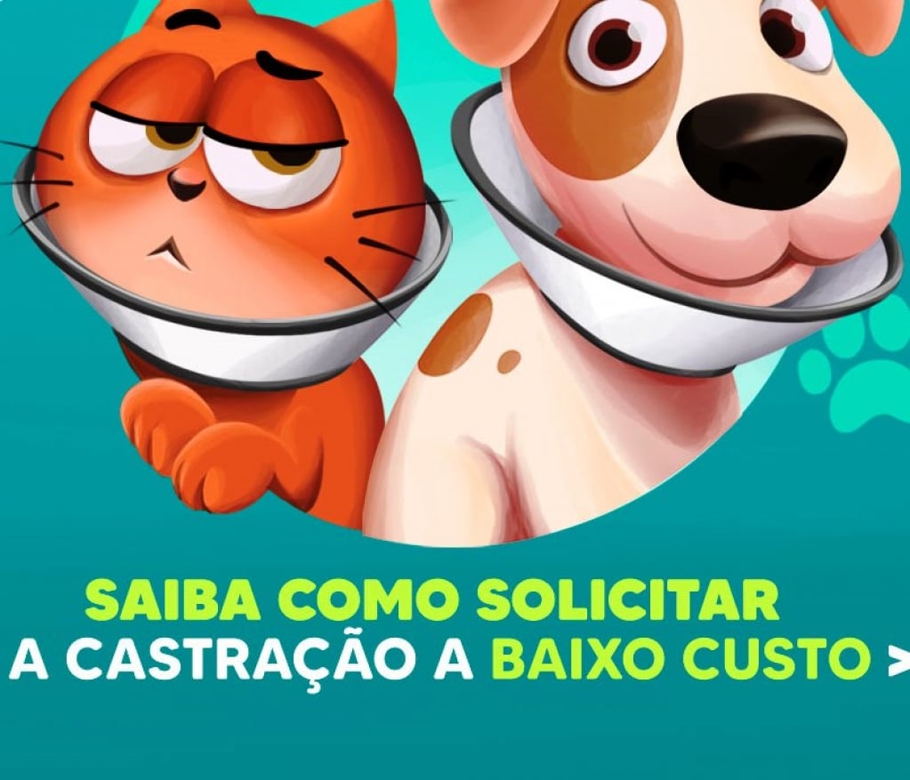 Programa de castração de animais a baixo custo incentiva adesão em Marília