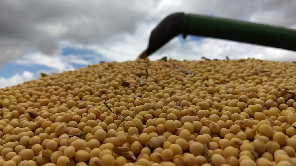 Sem dados do Rio Grande do Sul, Conab prevê “crescimento” da safra nacional de grãos Sem dados do Rio Grande do Sul, Conab prevê “crescimento” da safra nacional de grãos