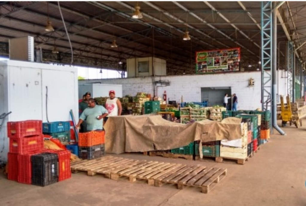 Agricultura familiar aponta risco de desperdício e pede apoio em Marília