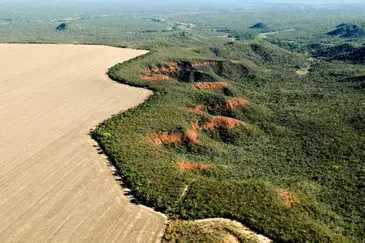 Brasília (DF) 29/02/2024 - Cerrado: cresce o desmatamento, aumenta o risco de colapso hídrico  Foto: Adriano Gambarini/WWF Brasil/Divulgação