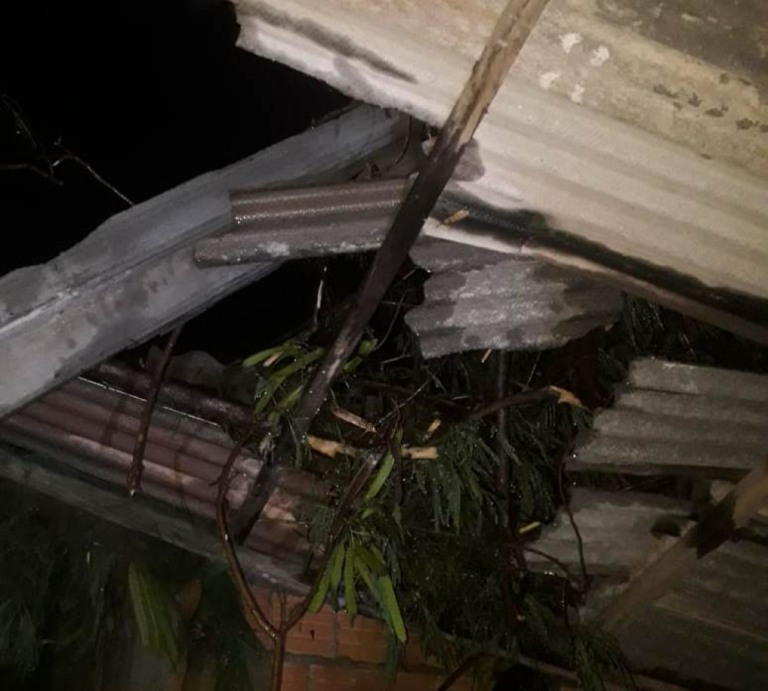 Moradores registram queda de árvores e fios em bairro de Marília; animais morrem; fotos e vídeo