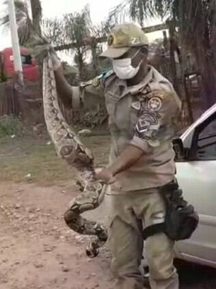 homem segurando cobra