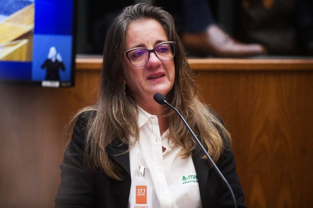 Cláudia Marina, da Associação Maria Flor, durante depoimento no STJ em Brasília -Rafael Luz/STJ