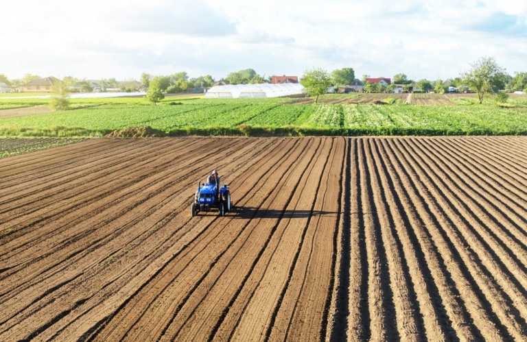 Ipea diz que agronegócio brasileiro é líder em produtividade sustentável