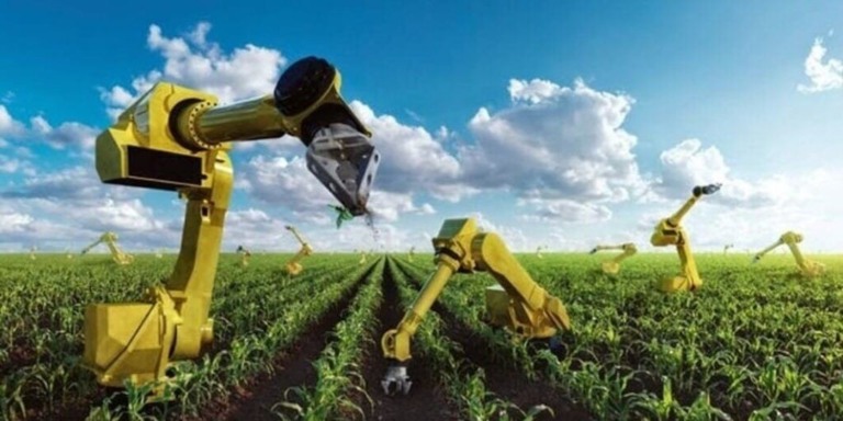 Tecnologia agrícola 4.0 impulsiona produtividade no campo