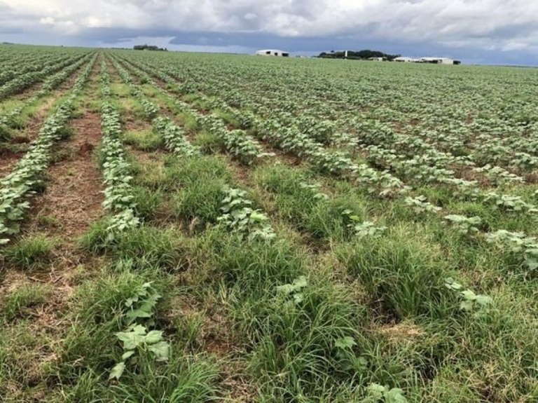 Governo propõe revisão do Proagro na Lei de Diretrizes Orçamentárias de 2025
