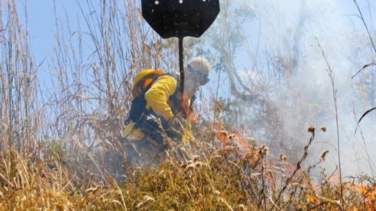 Agência Brasília GDF adota medidas preventivas para evitar queimadas durante a seca