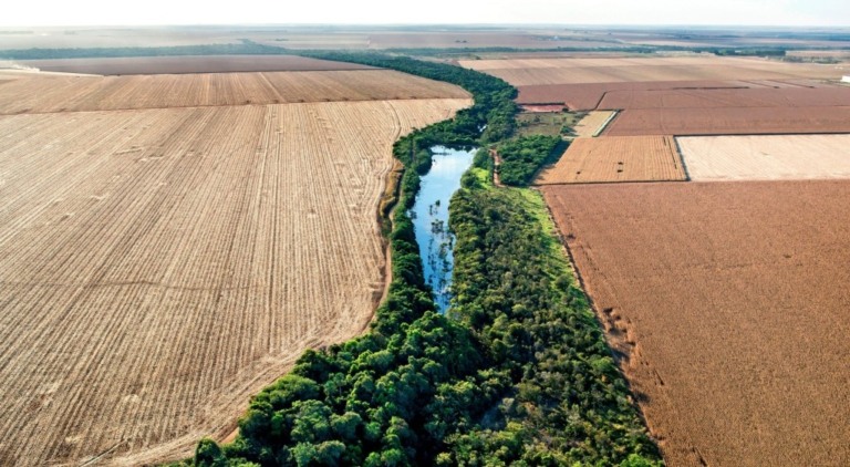 Mudanças climáticas podem reduzir produção de grãos no Cerrado, alerta Embrapa