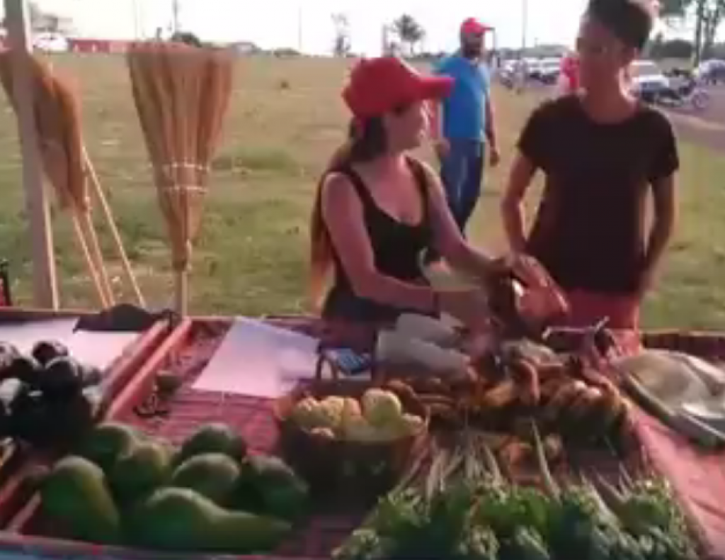 Horta comunitária marca ‘feira popular’ de hortifrutis e combate agrotóxicos