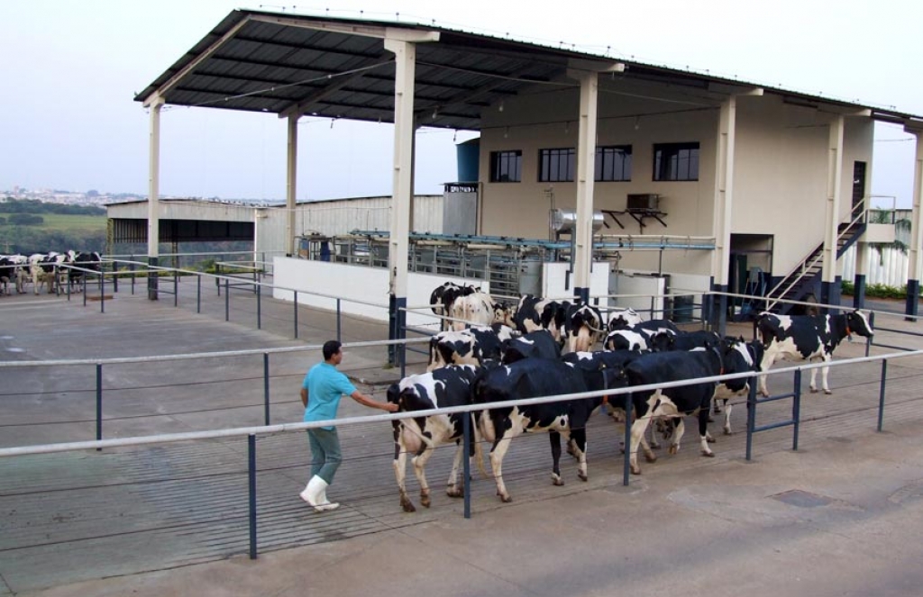 Seminário traz a Marília novas técnicas de produção e reprodução animal