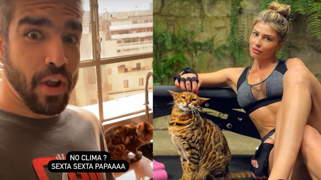 Voltaram? Caio Castro e Grazi Massafera surgem com gato misterioso e animam fãs Voltaram? Caio Castro e Grazi Massafera surgem com gato misterioso e animam fãs