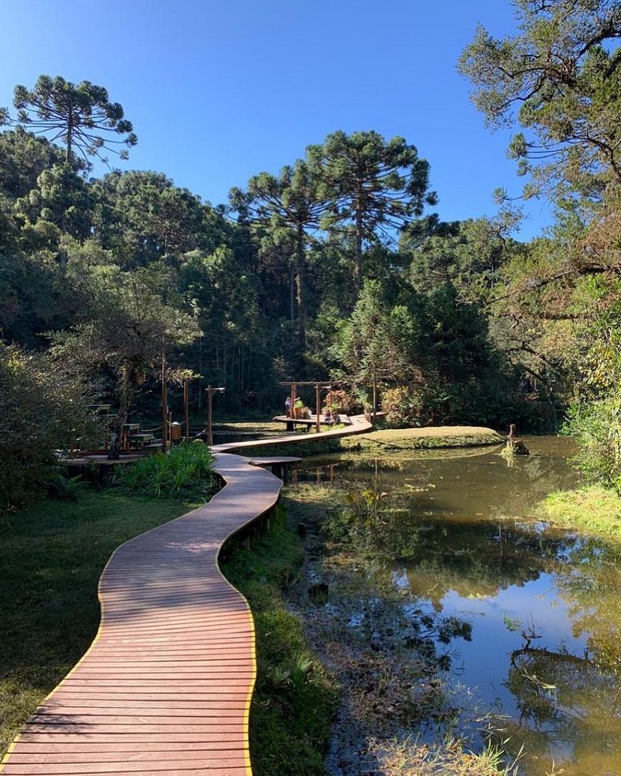 Bosque do Silêncio, em Campos do Jordão;. Foto: Reprodução/Instagram @bosquedosilenciooficial 10.11.2022