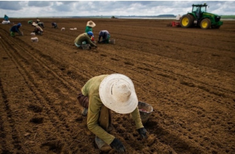 CMN faz ajustes no Proagro focando economia de R$ 1 bilhão e apoio aos pequenos agricultores