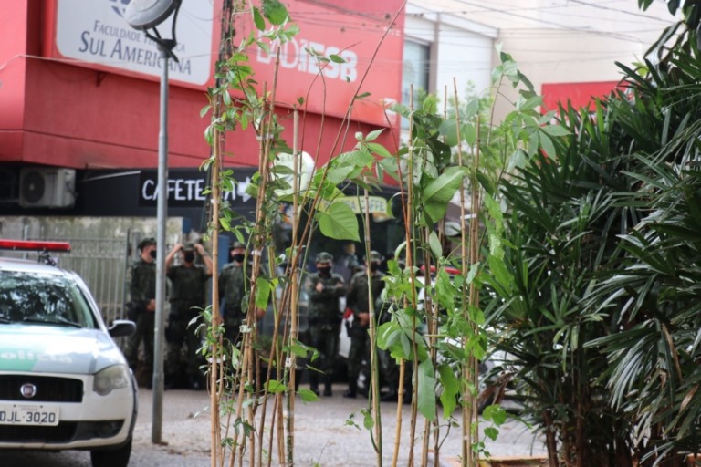Dia da Árvore tem distribuição de mudas e plantio no centro de Marília