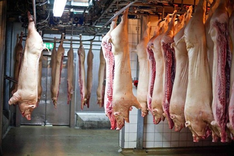 Exportações brasileiras de carne suína crescem 7,8% em volume e alcançam novo recorde