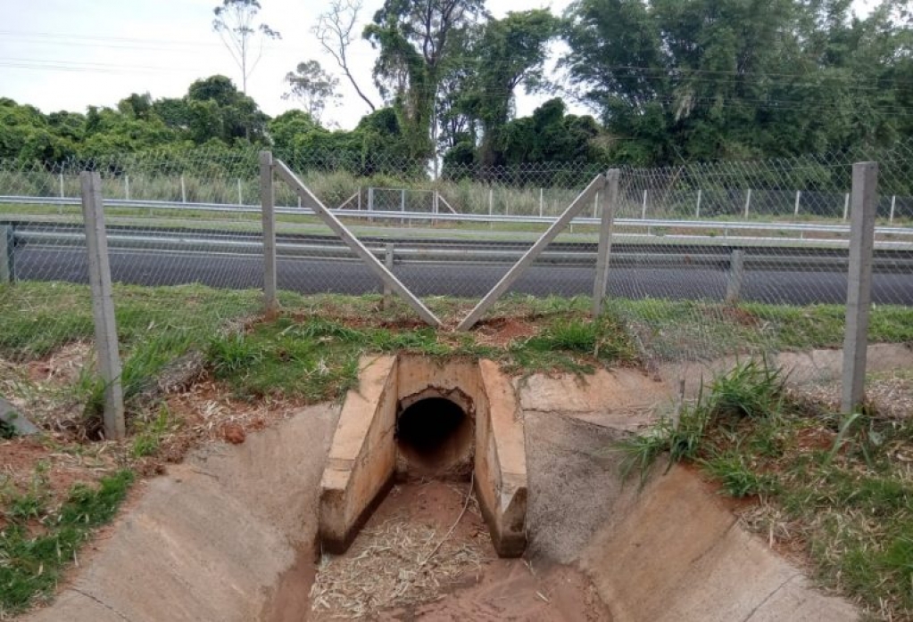 Rodovia SP-333 ganha passagens sustentáveis para anfíbios