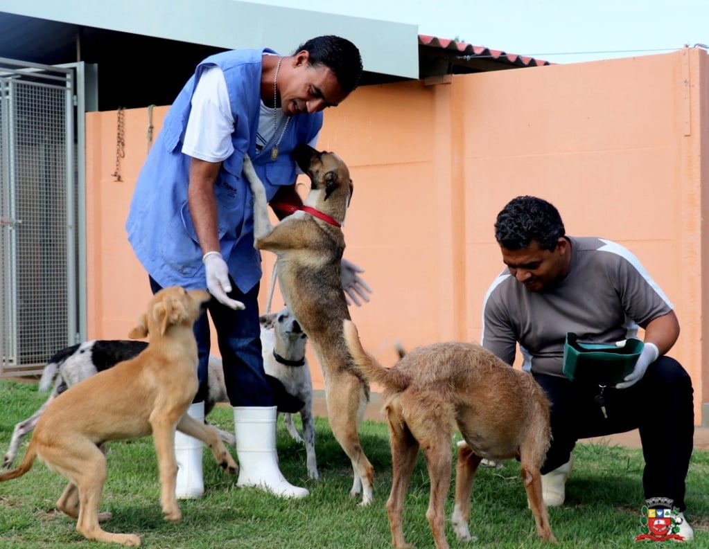 Canil municipal inicia programa de adoção de animais