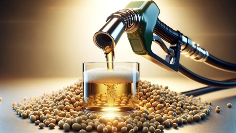Cepea: PIB da soja e do biodiesel cresceu em 2023, mas renda real caiu