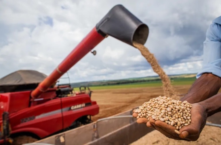 Governo planeja medidas para aumentar produção de alimentos e conter inflação