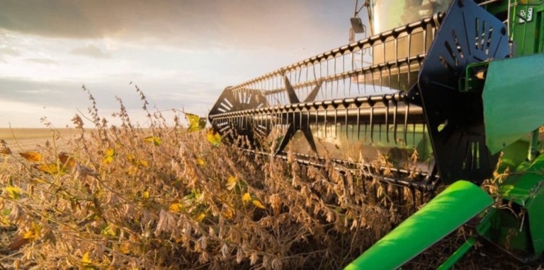Mercado da soja em ascensão: preços em alta e perspectivas positivas para exportações