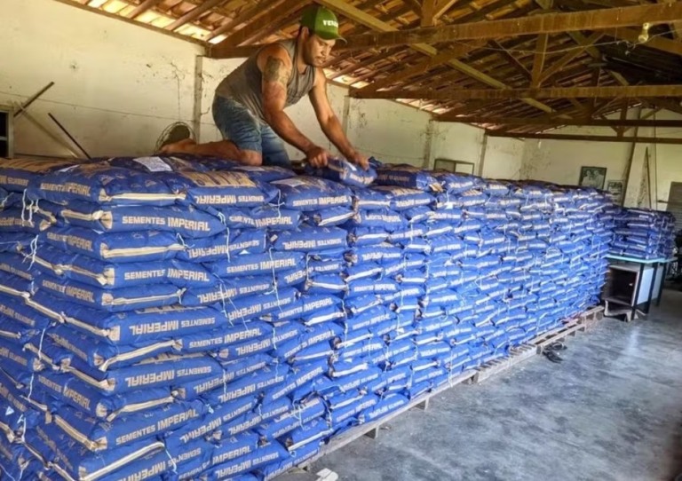 Minas distribui sementes de feijão para agricultores afetados pela seca