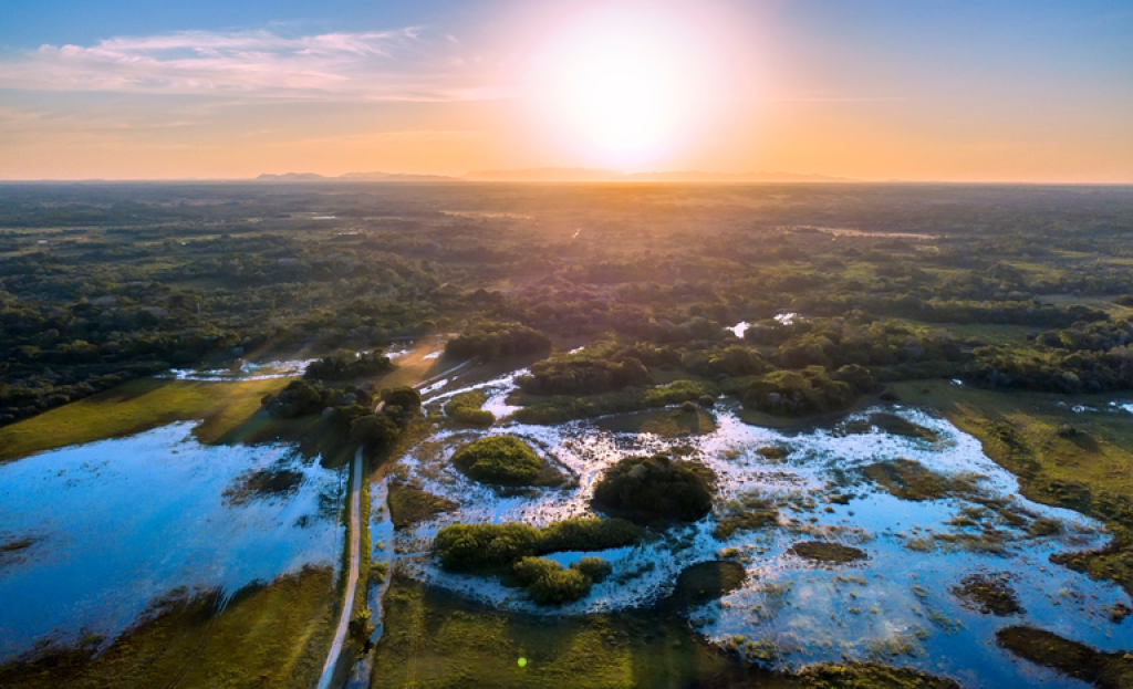 Com investimento bilionário Mapa promete transformar a agropecuária no Pantanal