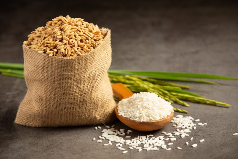 Produtores pedem que governo cancele medidas, mas Conab já tem R$ 7,2 bi para importar arroz