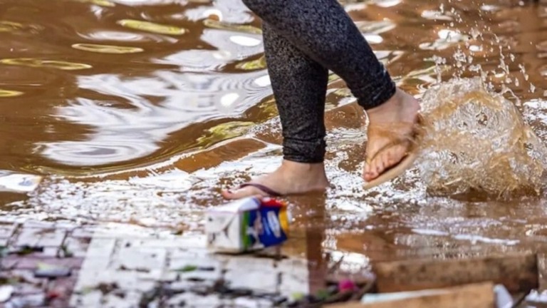 Agência Brasil Mortes por leptospirose chegam a 13 no Rio Grande do Sul