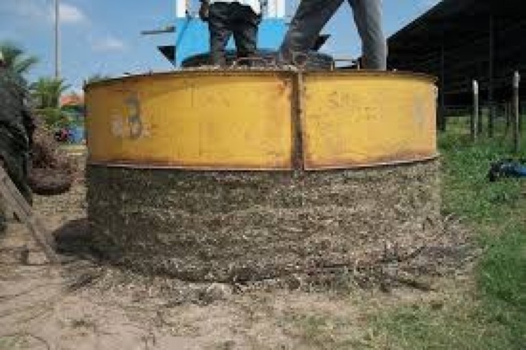 Agricultores mineiros se preparam para seca fazendo silagem