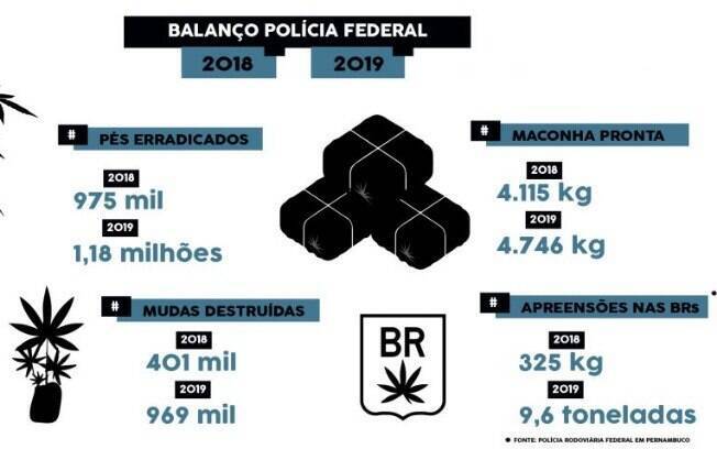 dados sobre maconha