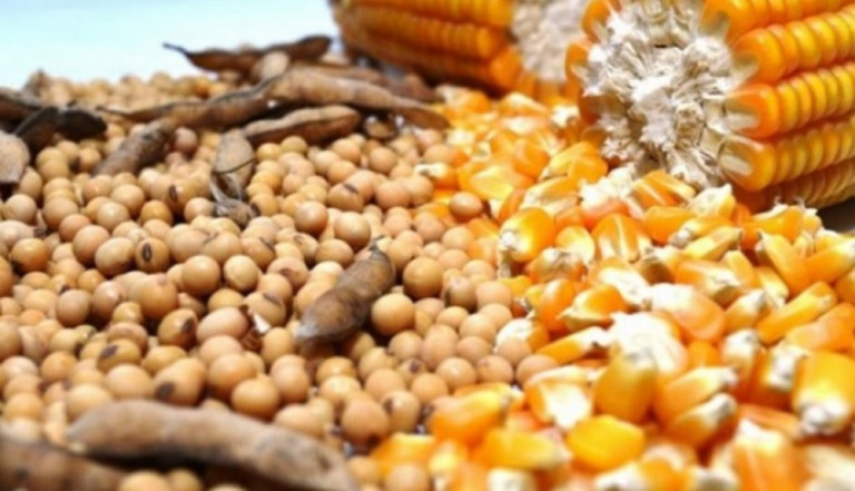Agronegócio forte: produção de grãos deve crescer 24% dos próximos 10 anos