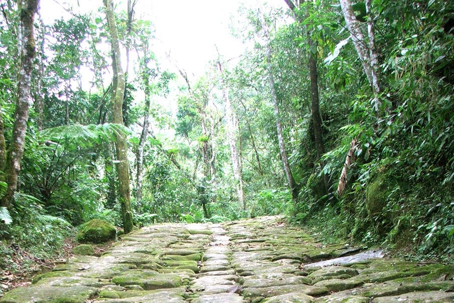 Trilha de pedra na Estrada do Ouro, usadas pelos indígenas para unir as tribos de Paraty com as do Vale do Paraíba. Foto: Divulgação/ Luciana Matos