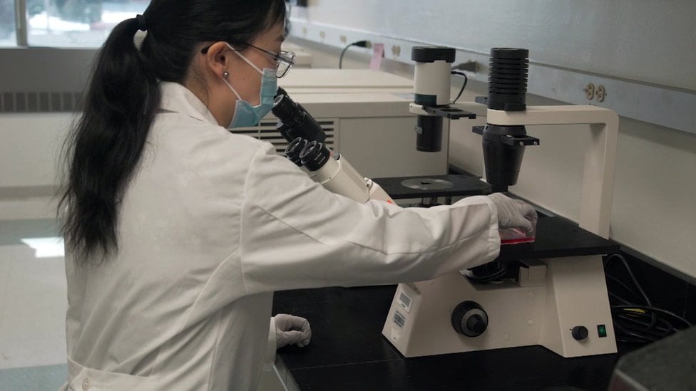 Técnica de laboratório olhando através do microscópio durante testes de pesquisa clínica