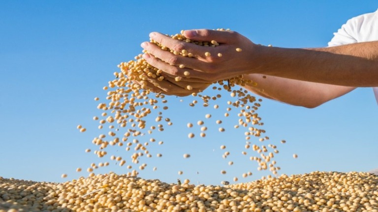 Avanços técnicos revolucionam a agricultura de soja