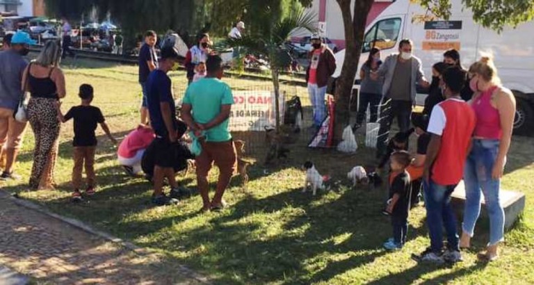Feira de adoção tem nova entrega de animais resgatados em Marília