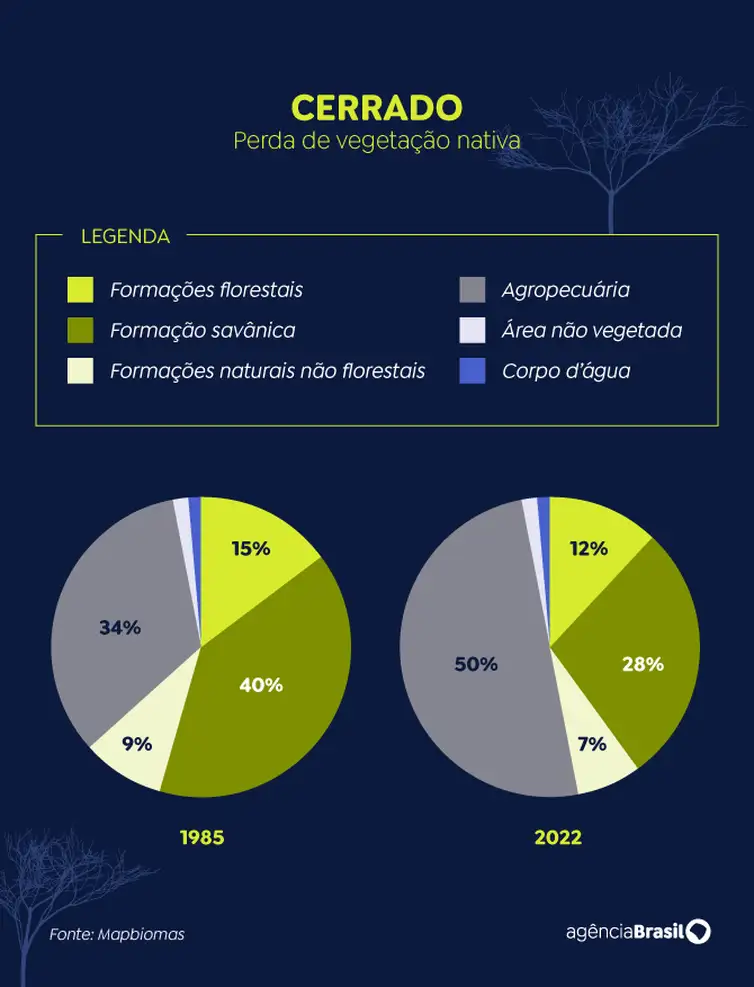 Dia Nacional do Cerrado. Arte EBC 2.