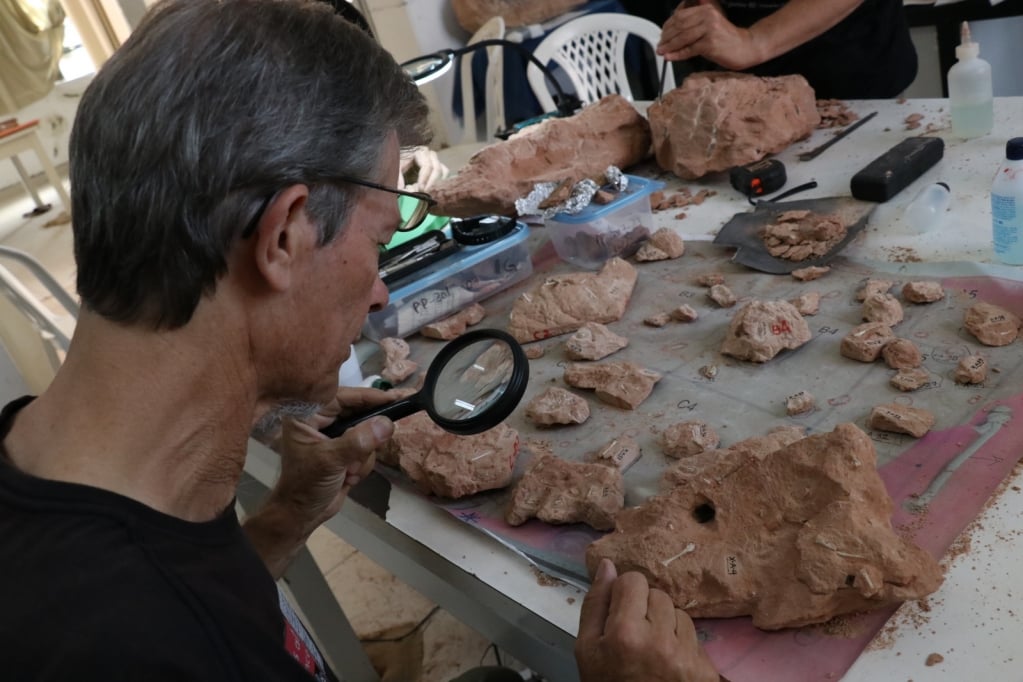 Vale dos Dinossauros – Live vai discutir descoberta de fósseis em Marília