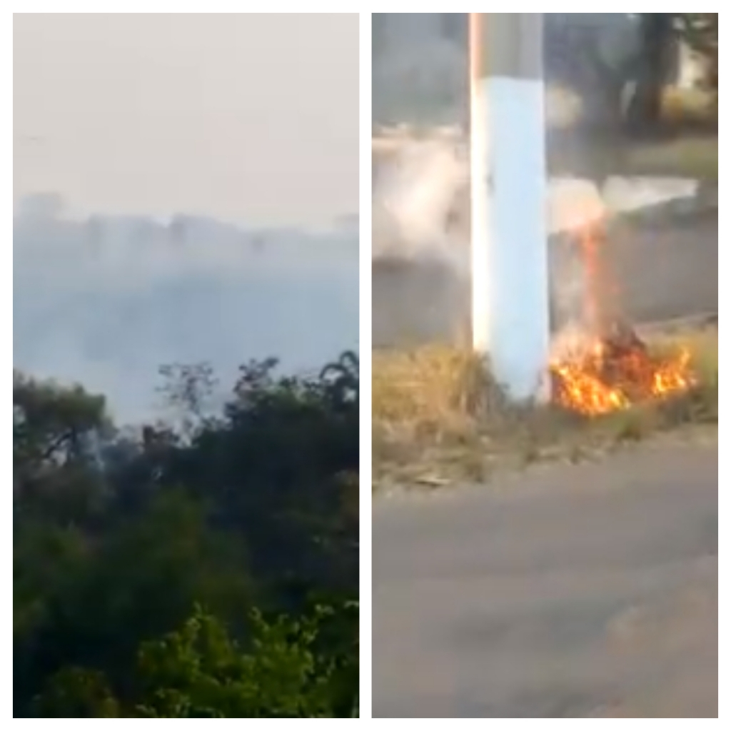 Vídeos - Cascata amanhece com queimada; morador flagra limpeza de mato com fogo