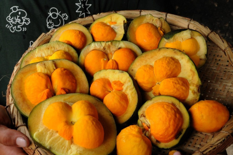 Conab pesquisa custos de produção de produtos típicos em Minas e na Bahia